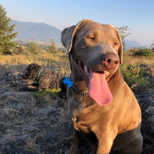 499D9150-7316-4DD0-9908-2776FD7699F2